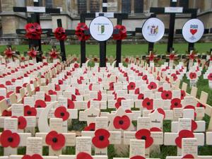 Field Of Remembrance - Westminster Abbey - UPDATE