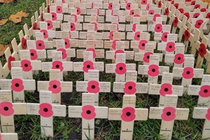 Field of Remembrance 2025
