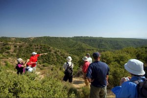 Walking & Hidden Gallipoli (May 2024)