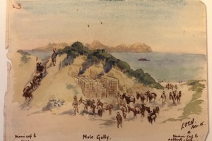 MULE GULLY - Christmas Card 2017