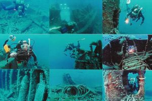 GALLIPOLI ASSOCIATION ANNUAL CONFERENCE - REPORT 2019