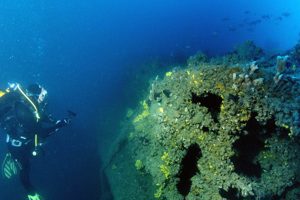 Wreck found of HMS Duchess of Richmond, a Gallipoli paddle-steamer
