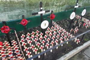 Remembrance Events 2020