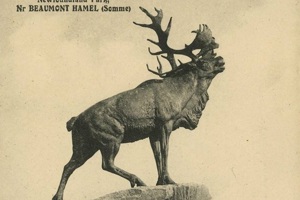 Gallipoli Caribou Memorial Progress