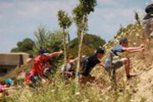 International Projects