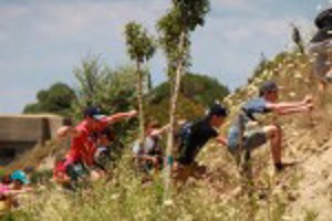 International Projects