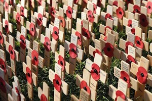 Field of Remembrance at Westminster Abbey