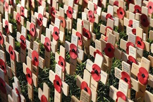 Field of Remembrance at Westminster Abbey