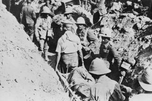 Were the Allies defeated by illness and disease at Gallipoli?