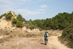 Walking Gallipoli Tour (2-7 May 2027)
