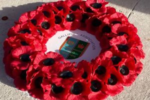 Armistice Day, 11/11/2024