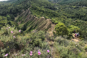 Walking Gallipoli Tour (19-25 September 2027)